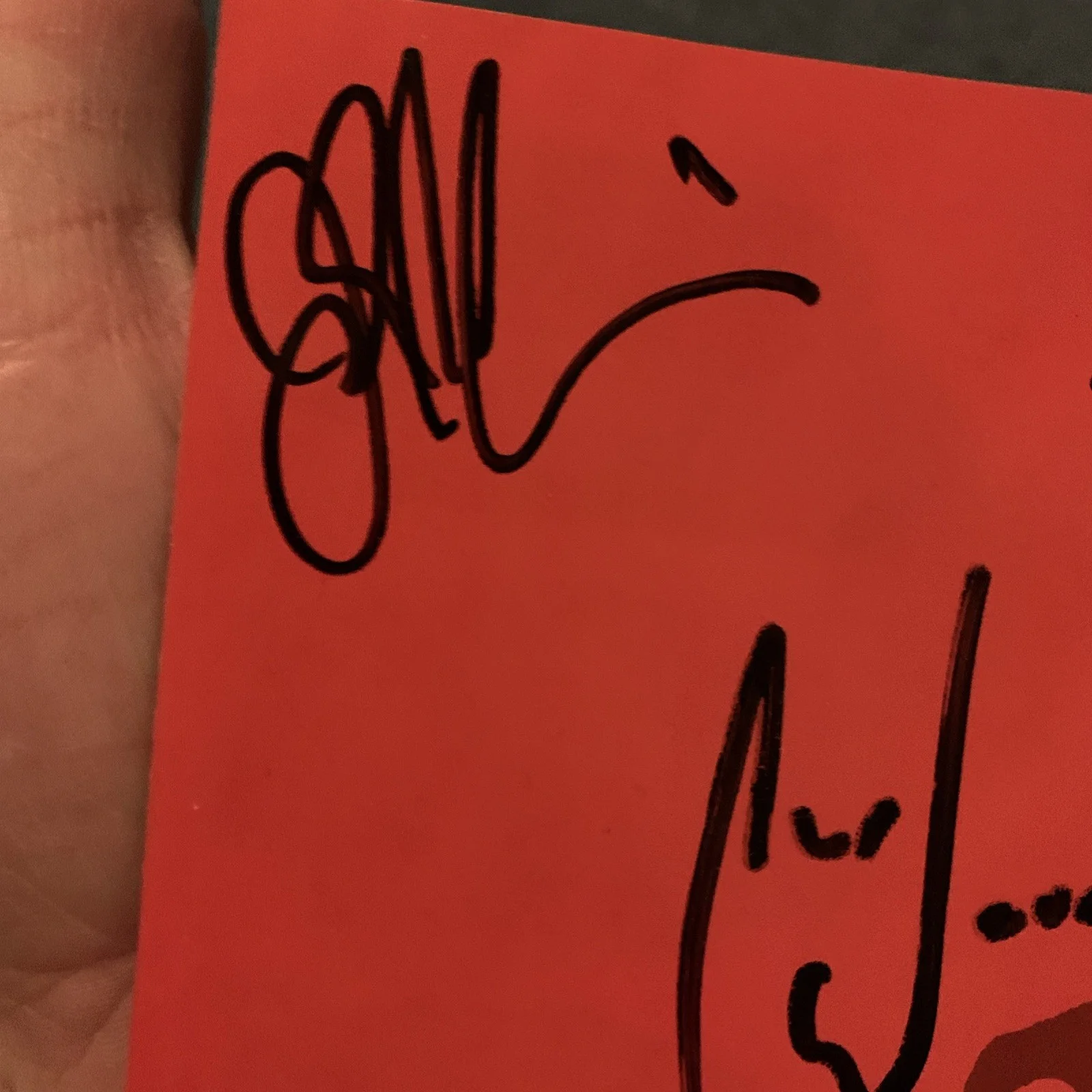 Medeski Martin & wood Autographed CD Insert 2001 2002 Product Catalog MMW, изображение 2