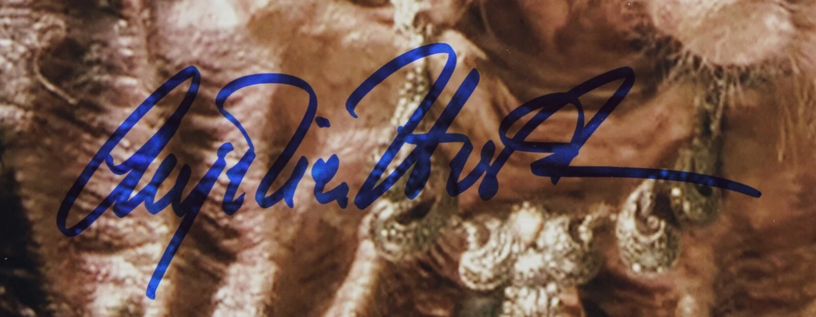 Anjelica Huston — ANJELICA HUSTON Signed 11x14 Photo BECKETT - The Witches 1990, изображение 2