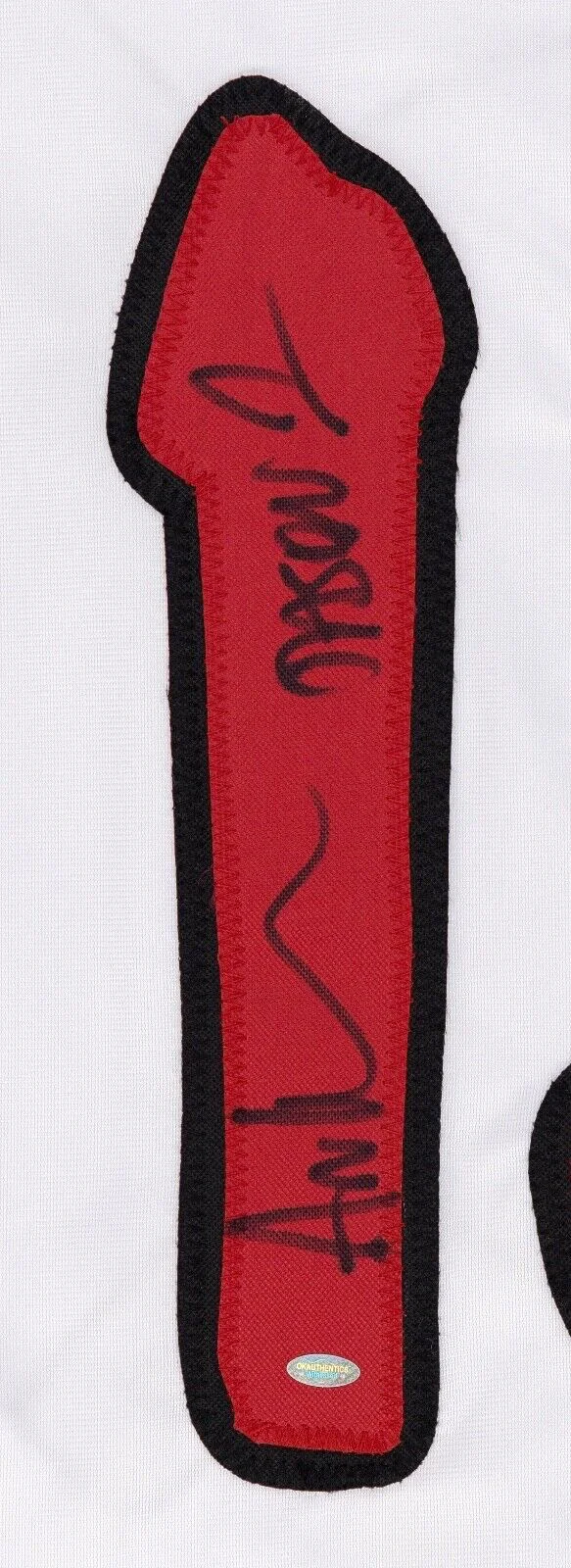Ari Lehman — Ari Lehman Signed Hockey Jersey Inscribed Twice- Friday the 13th Jason Voorhees, изображение 5