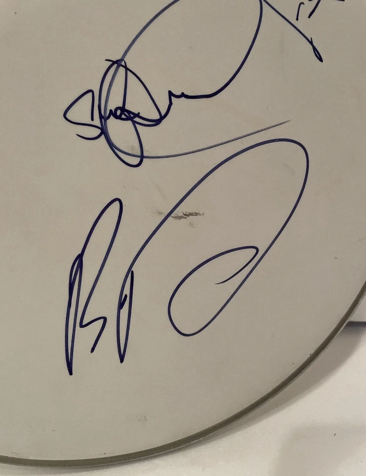 Dave Matthews Band x3 Signed 14” Remo Drumhead Dave Matthews Tinsley Lessard, изображение 2