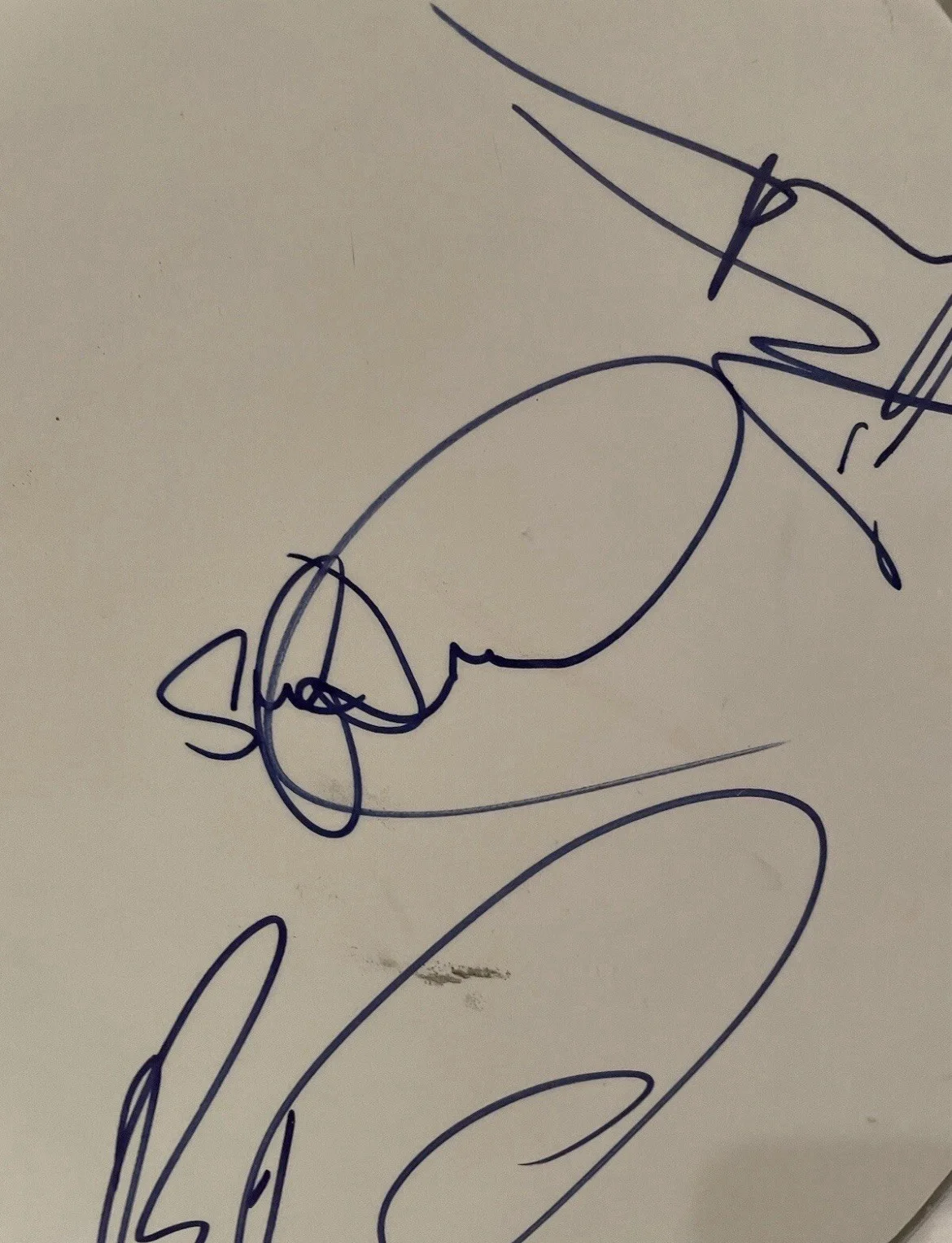 Dave Matthews Band x3 Signed 14” Remo Drumhead Dave Matthews Tinsley Lessard, изображение 3