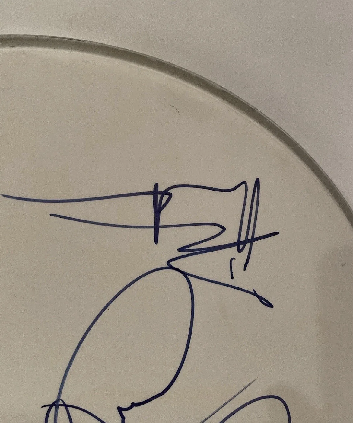 Dave Matthews Band x3 Signed 14” Remo Drumhead Dave Matthews Tinsley Lessard, изображение 4