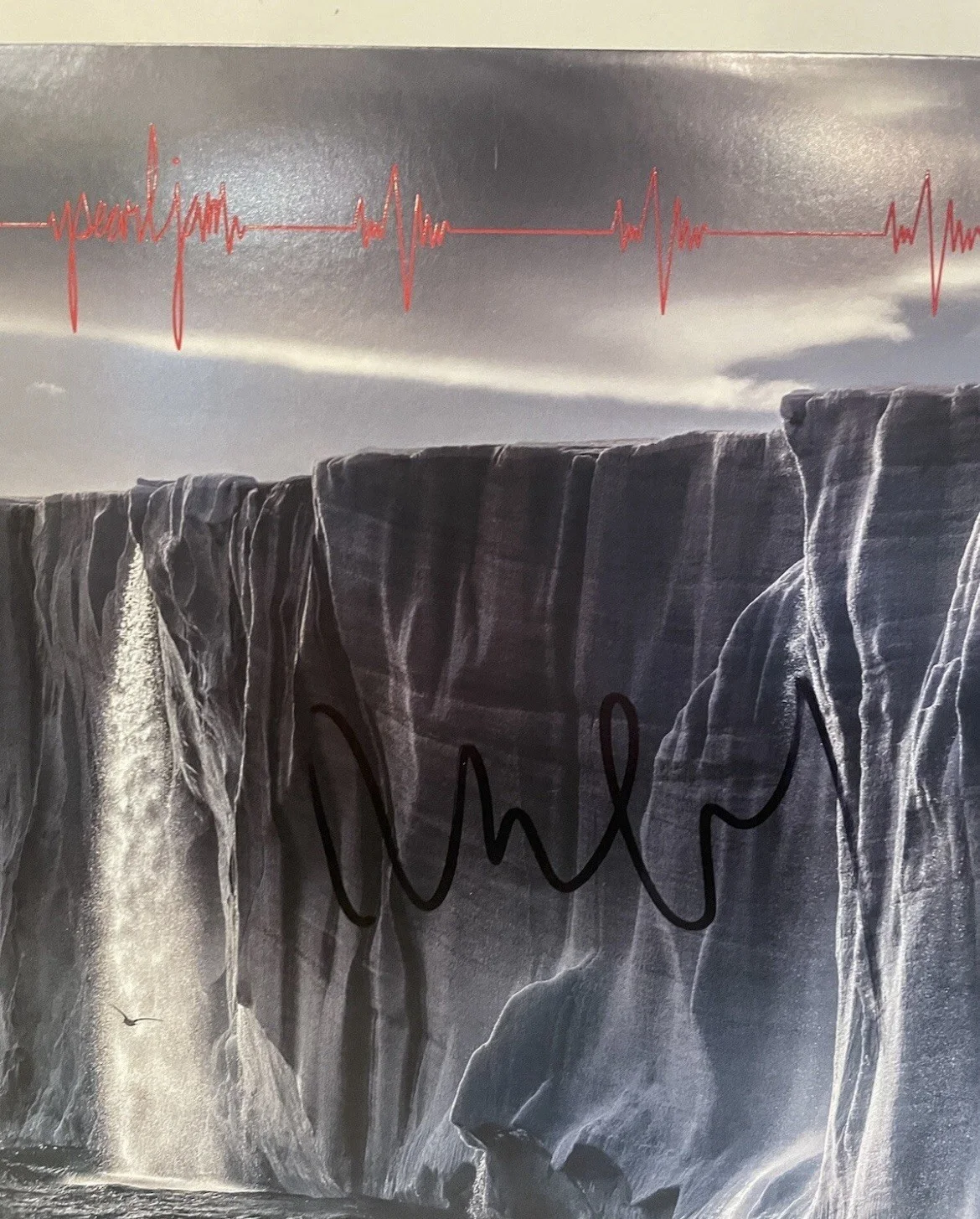 Pearl Jam Mike McCready Signed Gigaton Album Vinyl Record LP PROOF, изображение 2