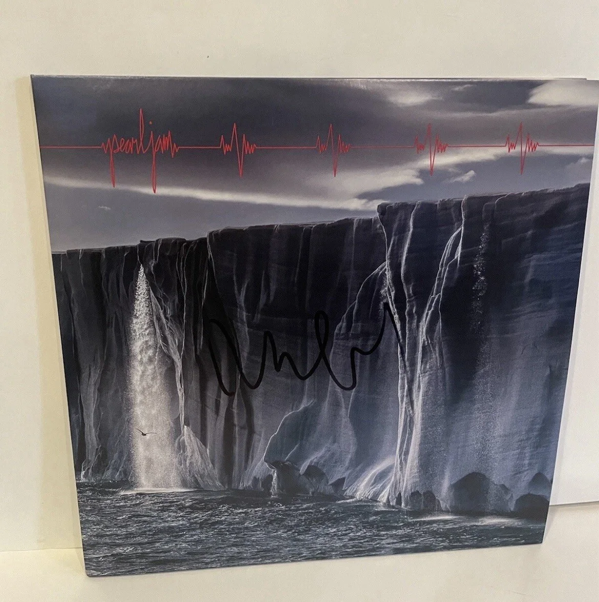 Pearl Jam Mike McCready Signed Gigaton Album Vinyl Record LP PROOF, изображение 3
