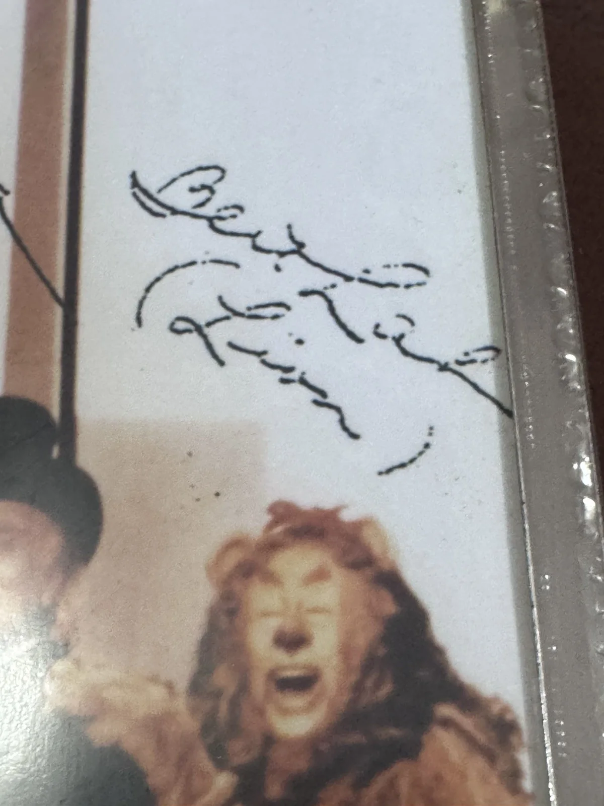 Wizard Of Oz Photo 5 Signatures In Silver Frame Great, image 5