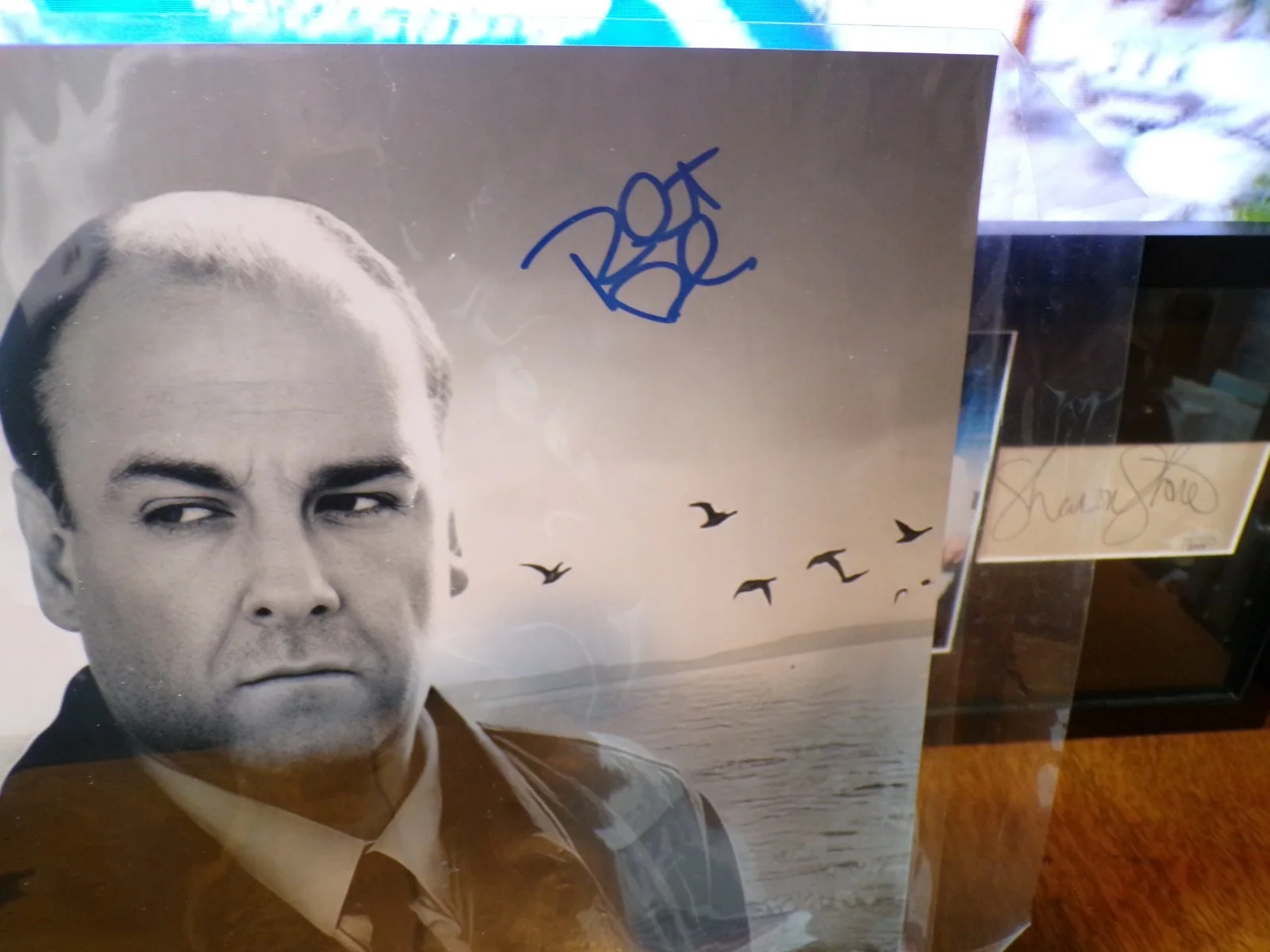 3 DIFFERENT — SOPRANOS JAMIE LYNN SIGLER/DREA deMATTEO/ROBERT ILER 11 X 14 AUTOGRAPH JSA FR SH, image 3