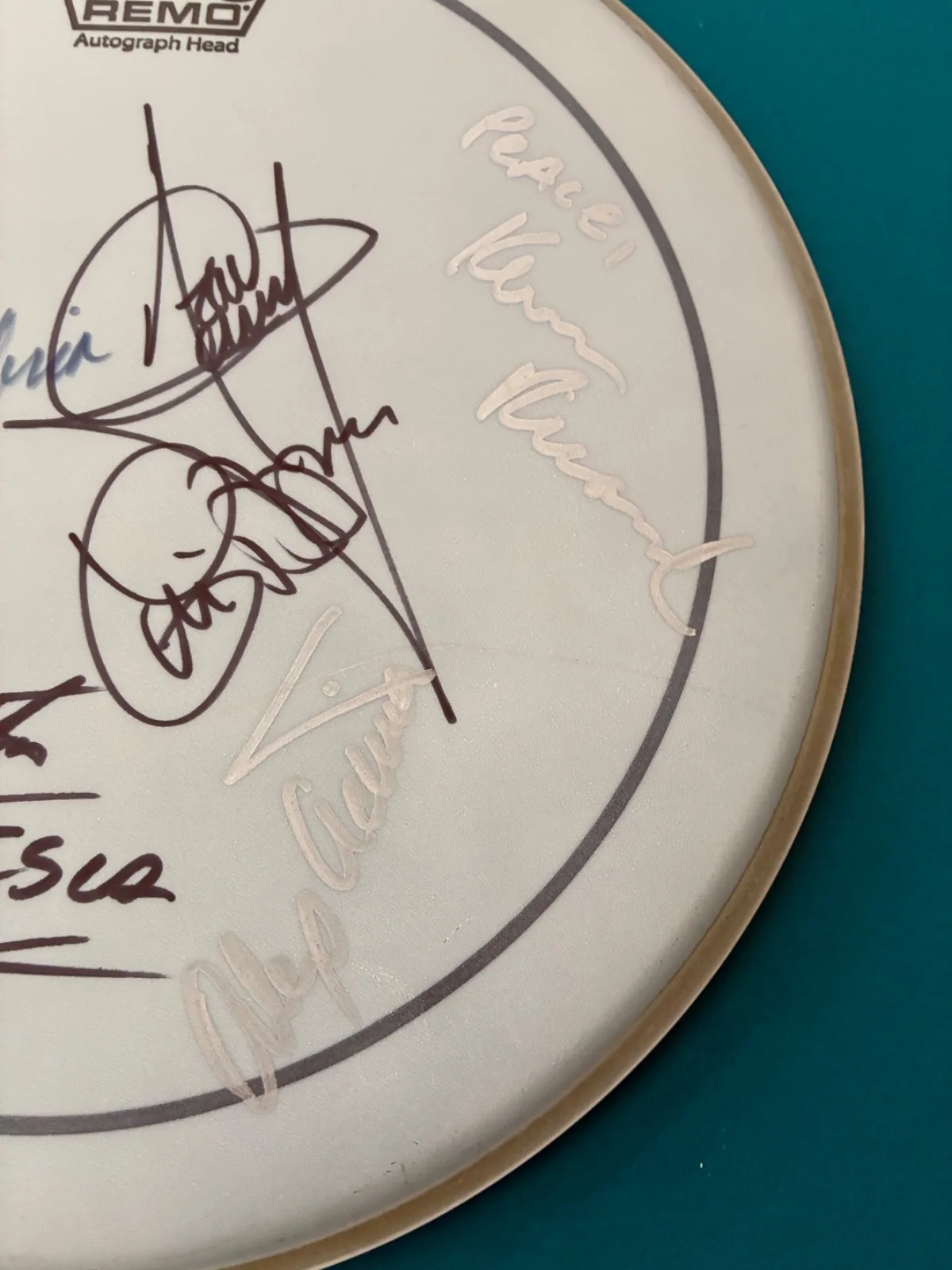 Drummers Signed Original 14" Drumhead Rare, image 2