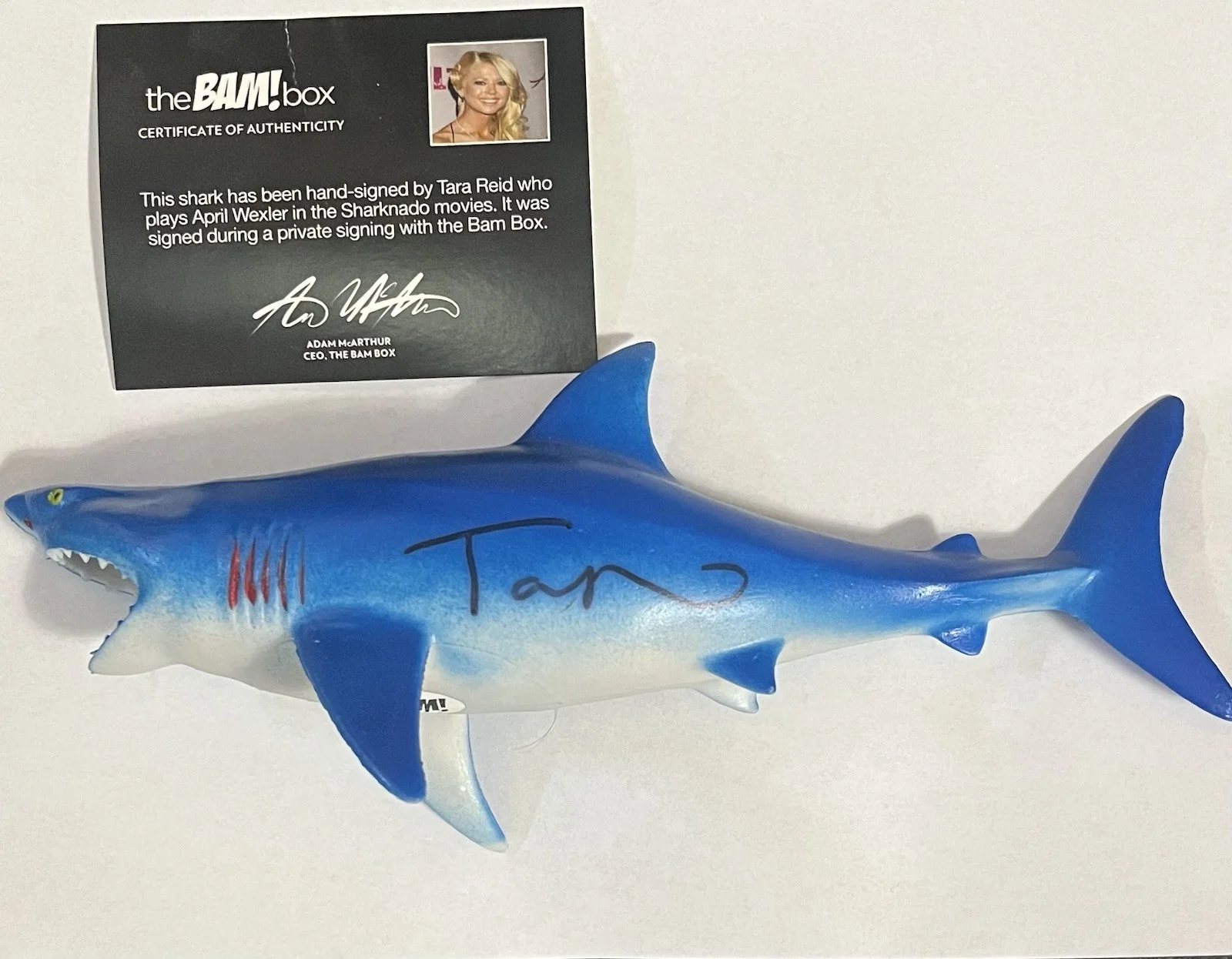 Tara Reid — Bam Box Sharknado 10" Shark Figure Signed By Tara Reid with COA Autograph