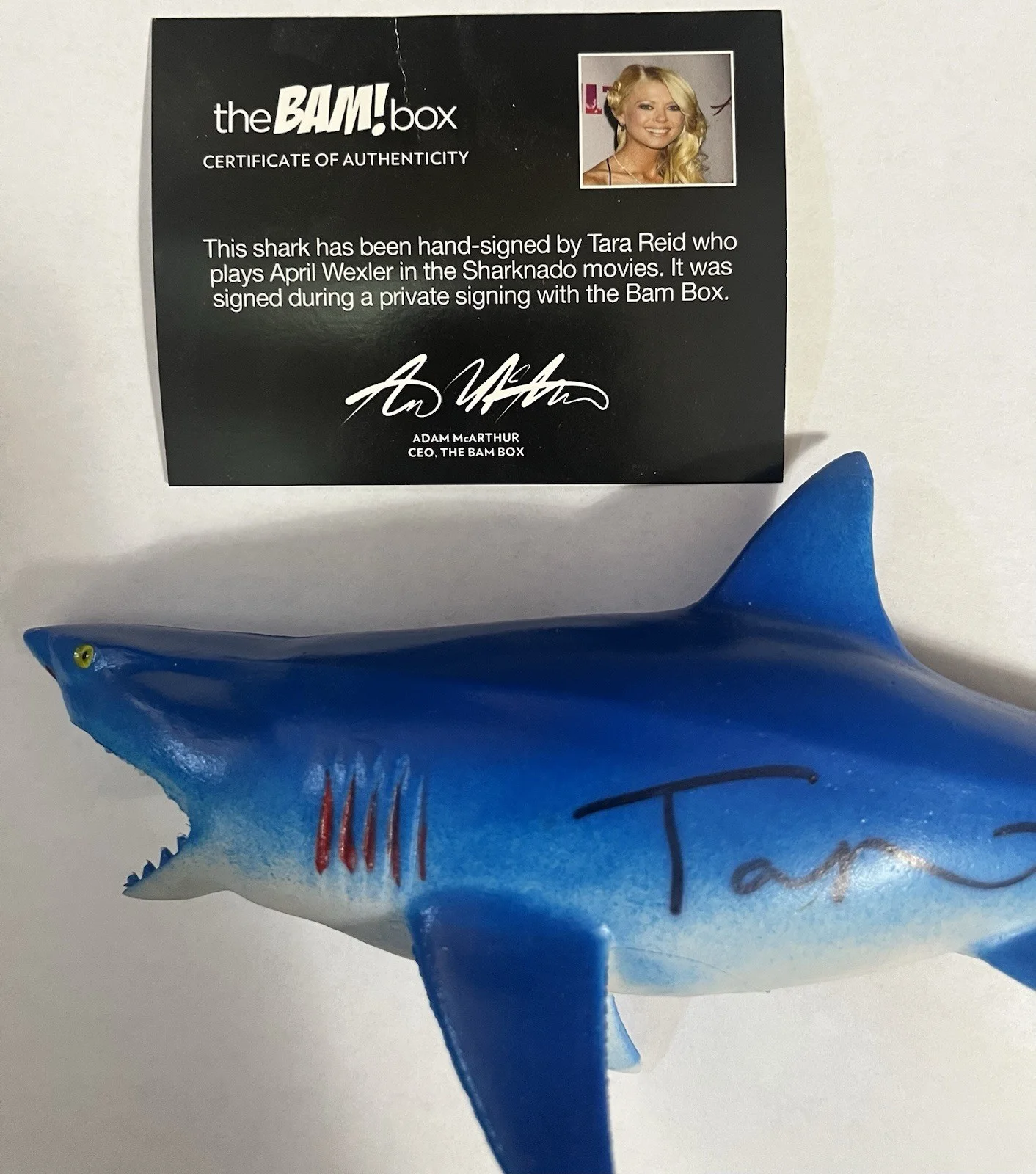 Tara Reid — Bam Box Sharknado 10" Shark Figure Signed By Tara Reid with COA Autograph, image 2