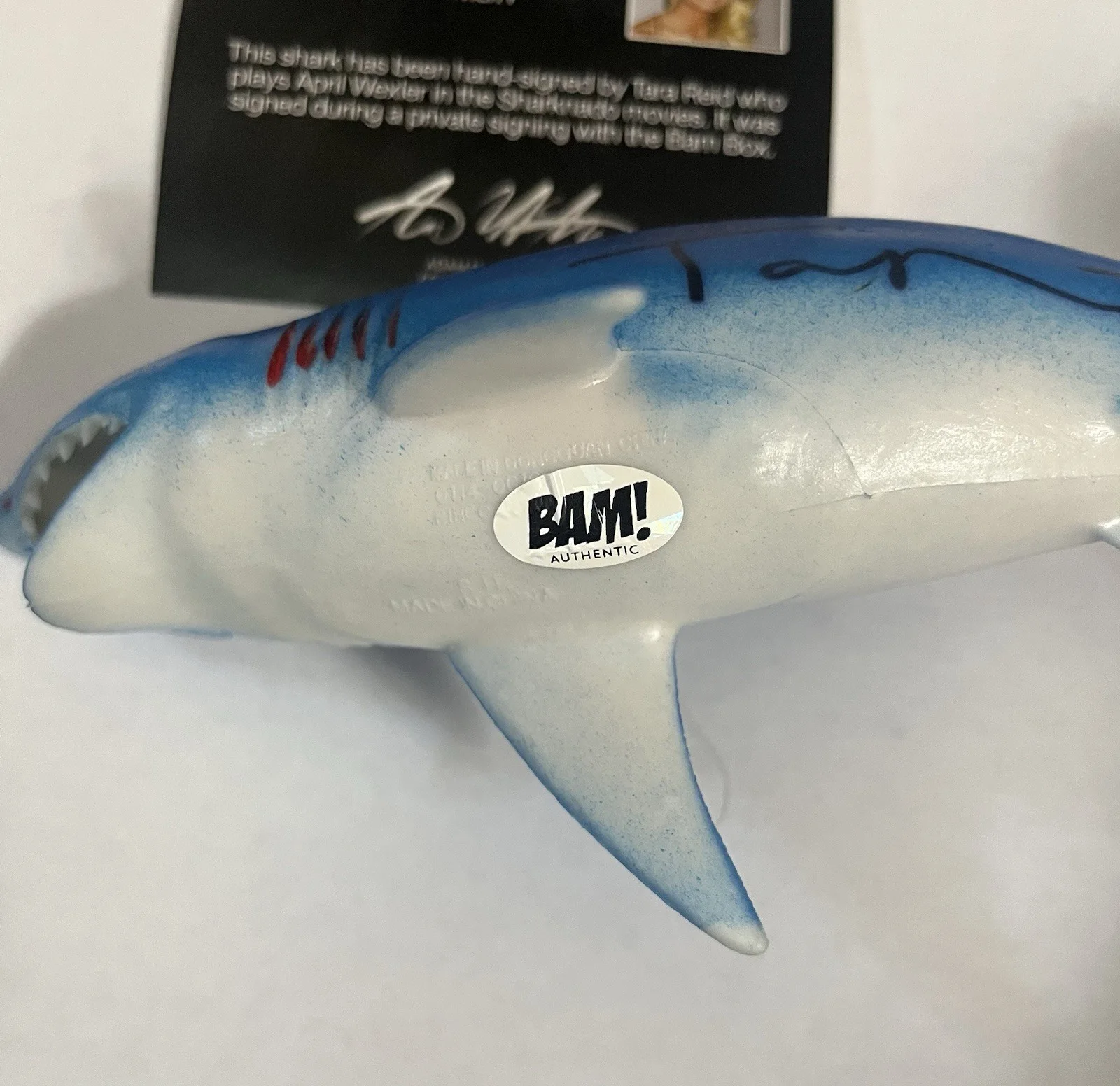 Tara Reid — Bam Box Sharknado 10" Shark Figure Signed By Tara Reid with COA Autograph, image 4