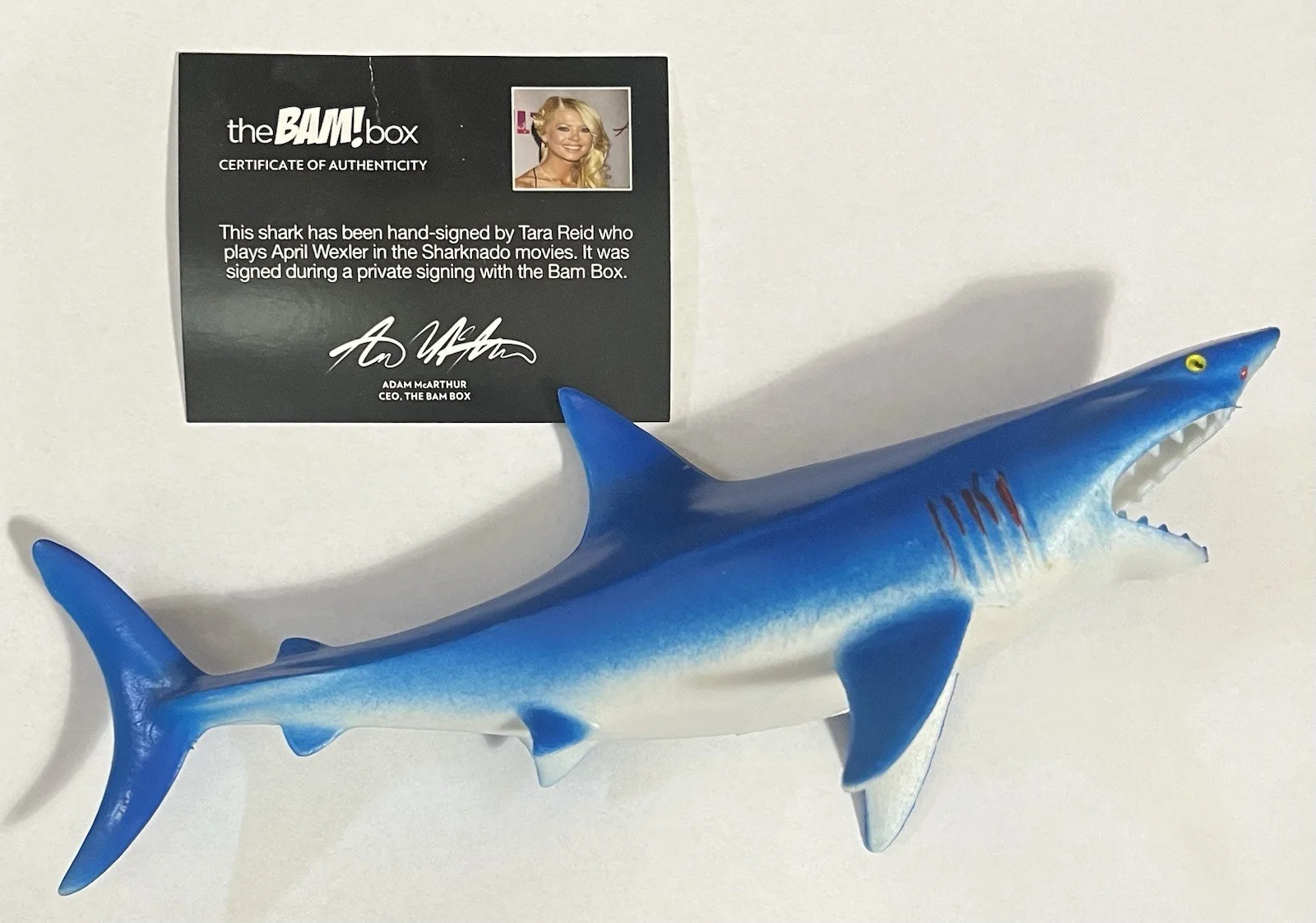 Tara Reid — Bam Box Sharknado 10" Shark Figure Signed By Tara Reid with COA Autograph, image 5