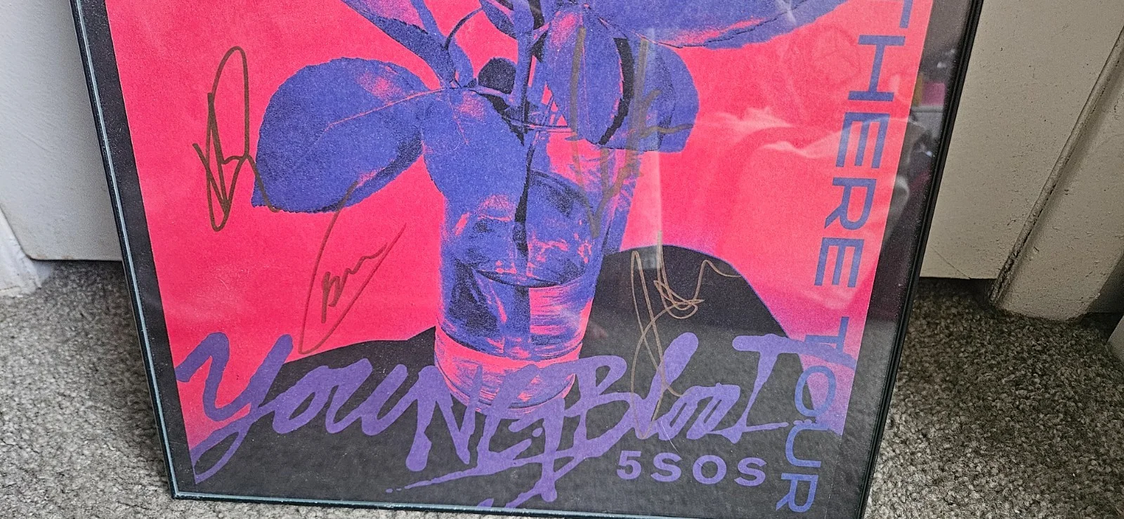 FRAMED 2018 5 Seconds Of Summer (5sos) Autographed Tour Poster, изображение 2
