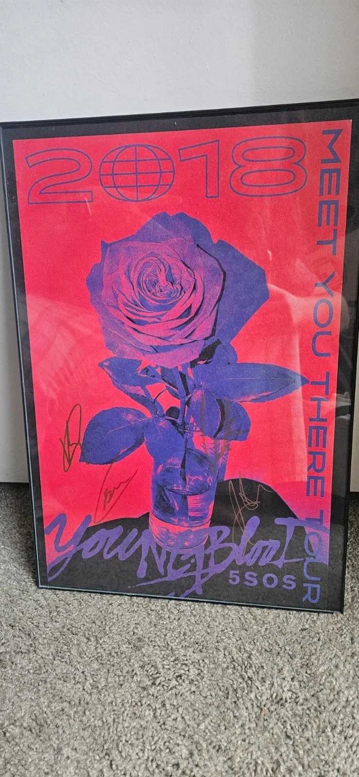 FRAMED 2018 5 Seconds Of Summer (5sos) Autographed Tour Poster, изображение 3