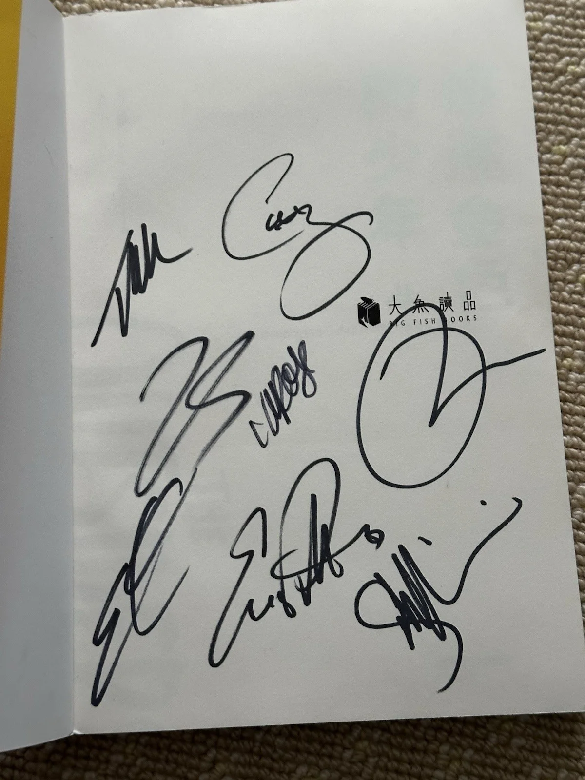 The Outsiders Japanese Version Signed Book By Broadway Cast Members, image 2