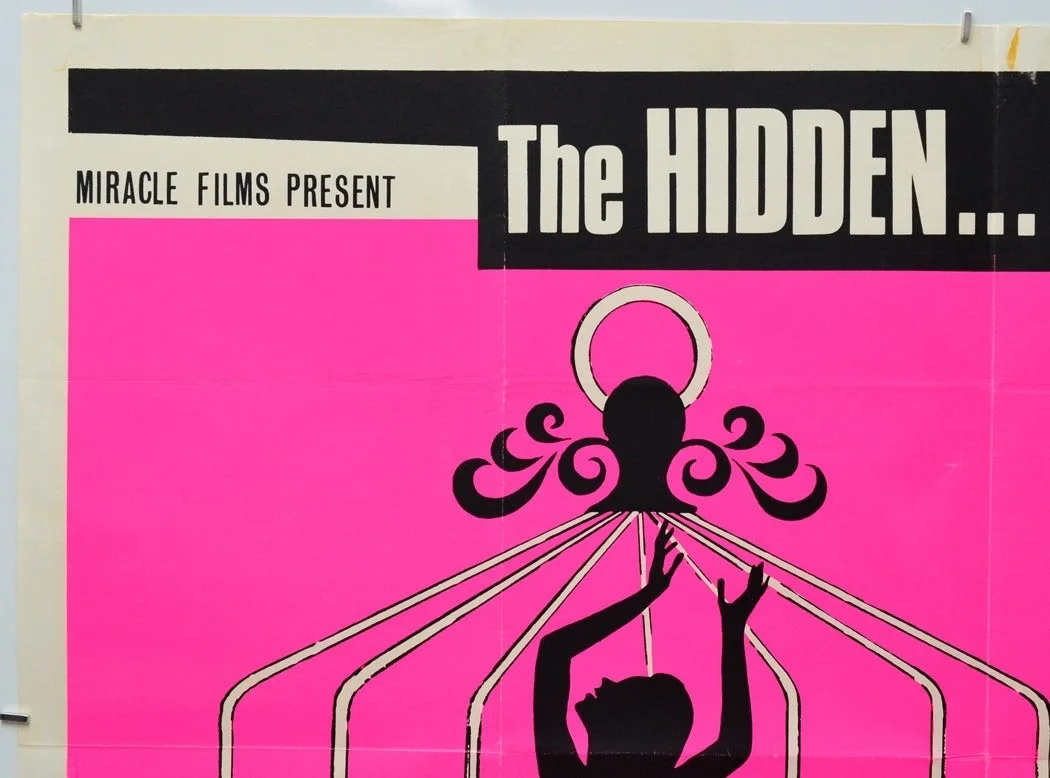 THE MYSTERY AND THE PLEASURE (1966) Original Cinema Quad Film Poster - Enzo Peri, изображение 2