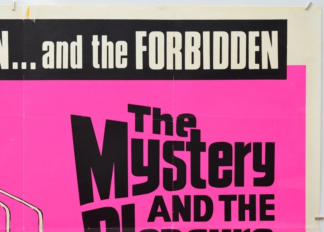 THE MYSTERY AND THE PLEASURE (1966) Original Cinema Quad Film Poster - Enzo Peri, изображение 3