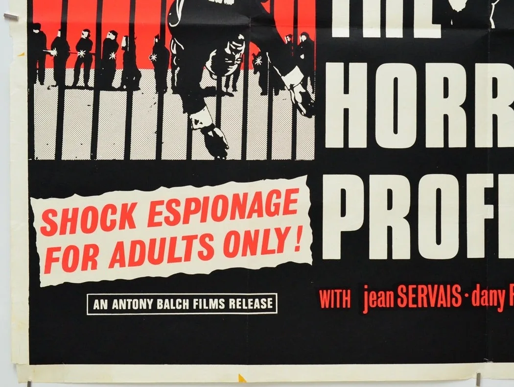 THE HORRIBLE PROFESSION (1966) Original Cinema Quad Poster - Jean Maley, Servais, image 4