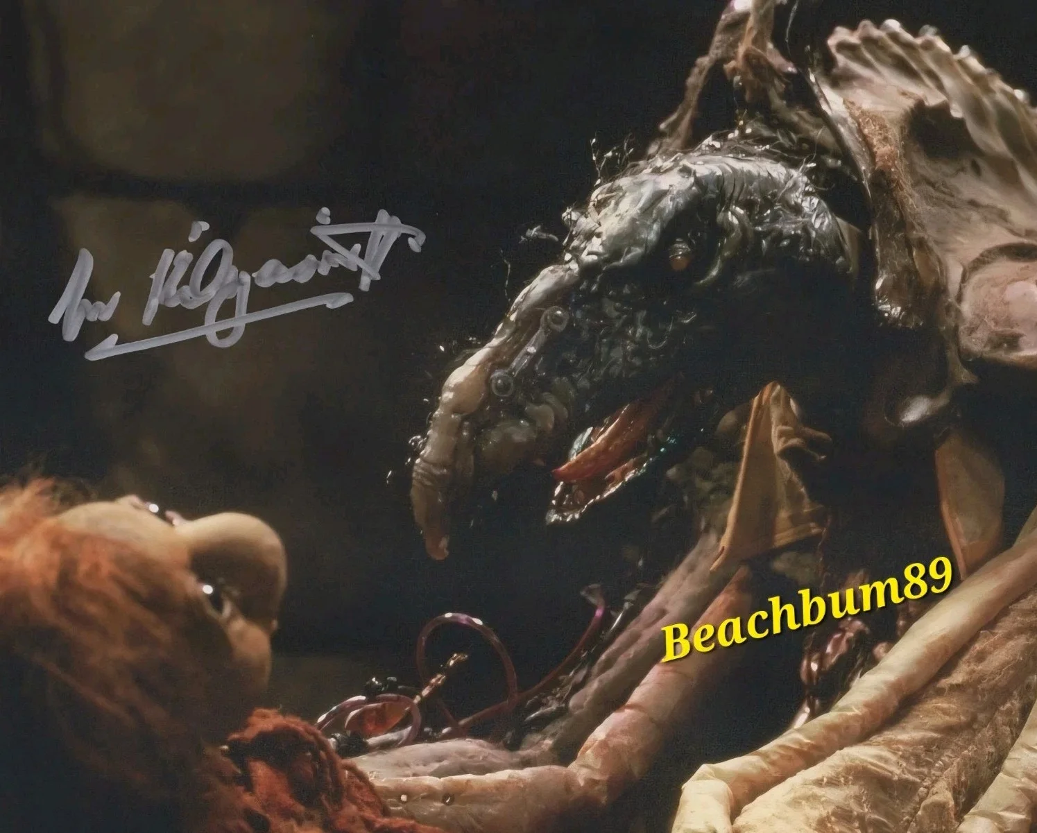 Michael Kilgarriff — "The Dark Crystal" MICHAEL KILGARRIFF as 'The General' Signed 8x10 Photo W/COA, image 4