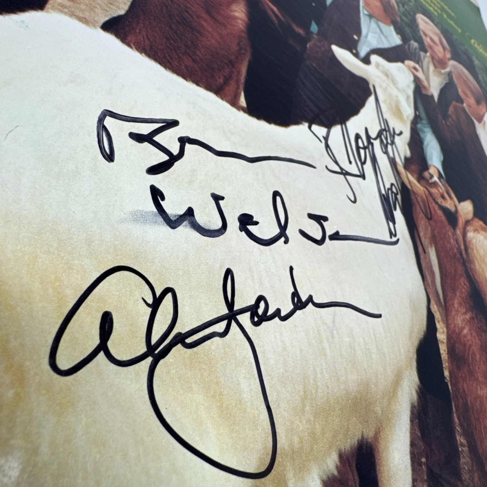 Beach Boys Pet Sounds Vinyl LP SIGNED In Person by Brian Wilson, Al Jardine, +1, изображение 3