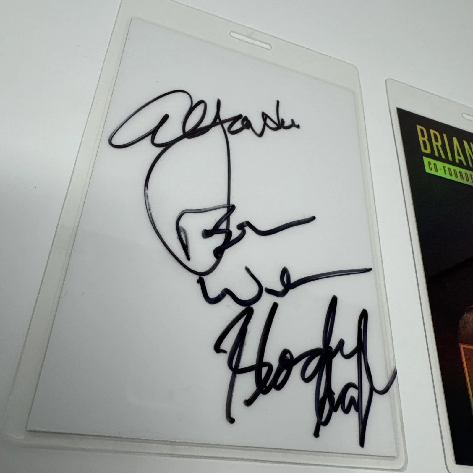 Brian Wilson, Al Jardine, Blondie Chaplin Autograph In Person From 2015 Concert, изображение 3