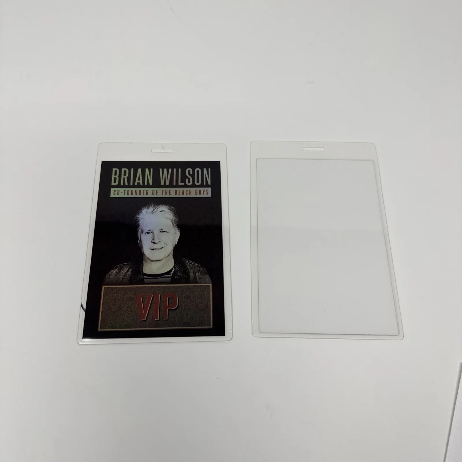 Brian Wilson, Al Jardine, Blondie Chaplin Autograph In Person From 2015 Concert, изображение 4