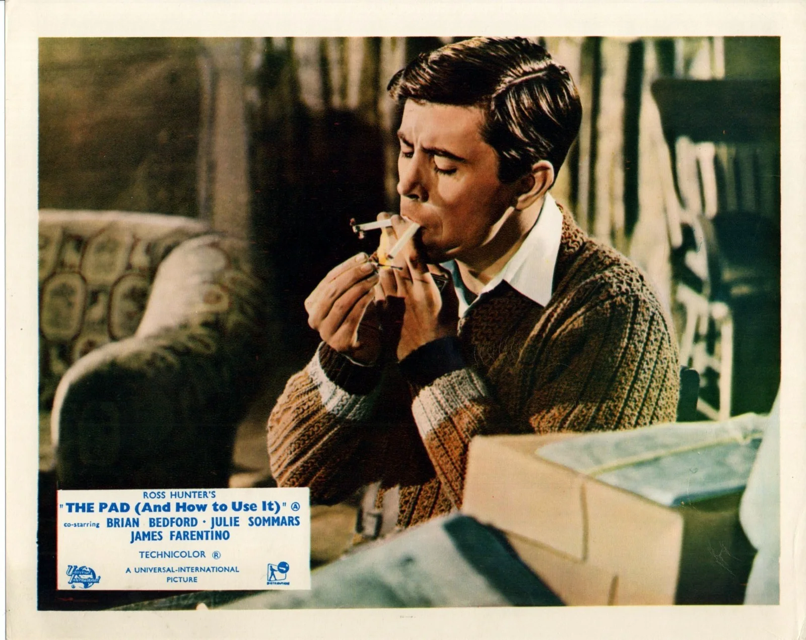 PAD (AND HOW TO USE IT) 1966 Brian Bedford, Julie Sommars UK 10x8 LOBBY SET, изображение 2