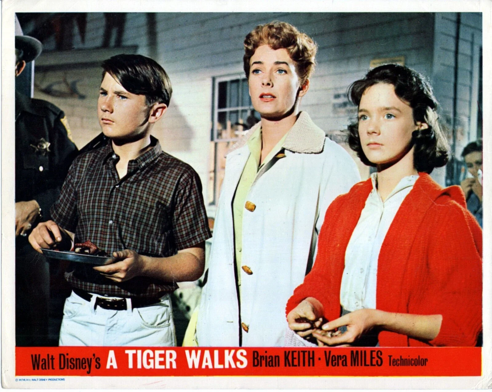 A TIGER WALKS 1964 Brian Keith, Vera Miles, Pamela Franklin 6 10x8 LOBBY CARDS, изображение 4