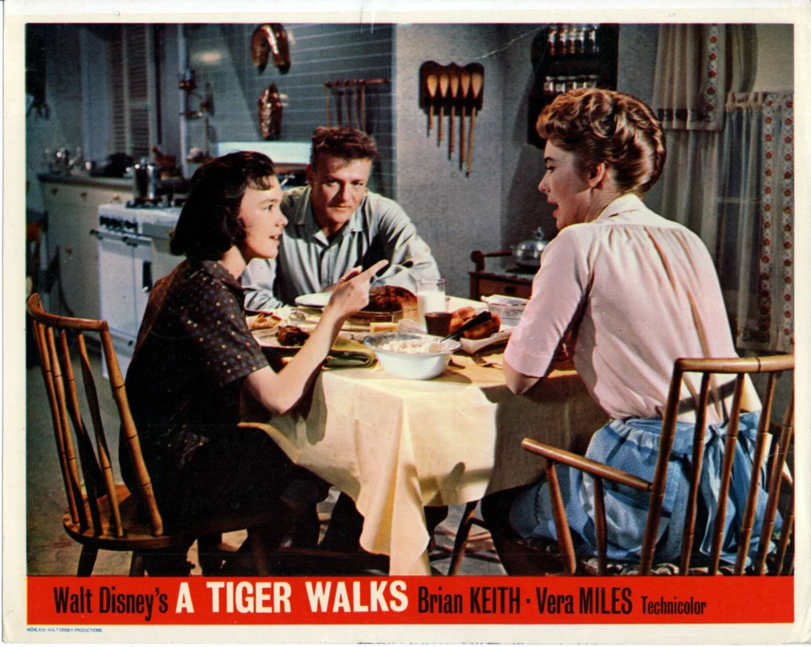 A TIGER WALKS 1964 Brian Keith, Vera Miles, Pamela Franklin 6 10x8 LOBBY CARDS, изображение 5