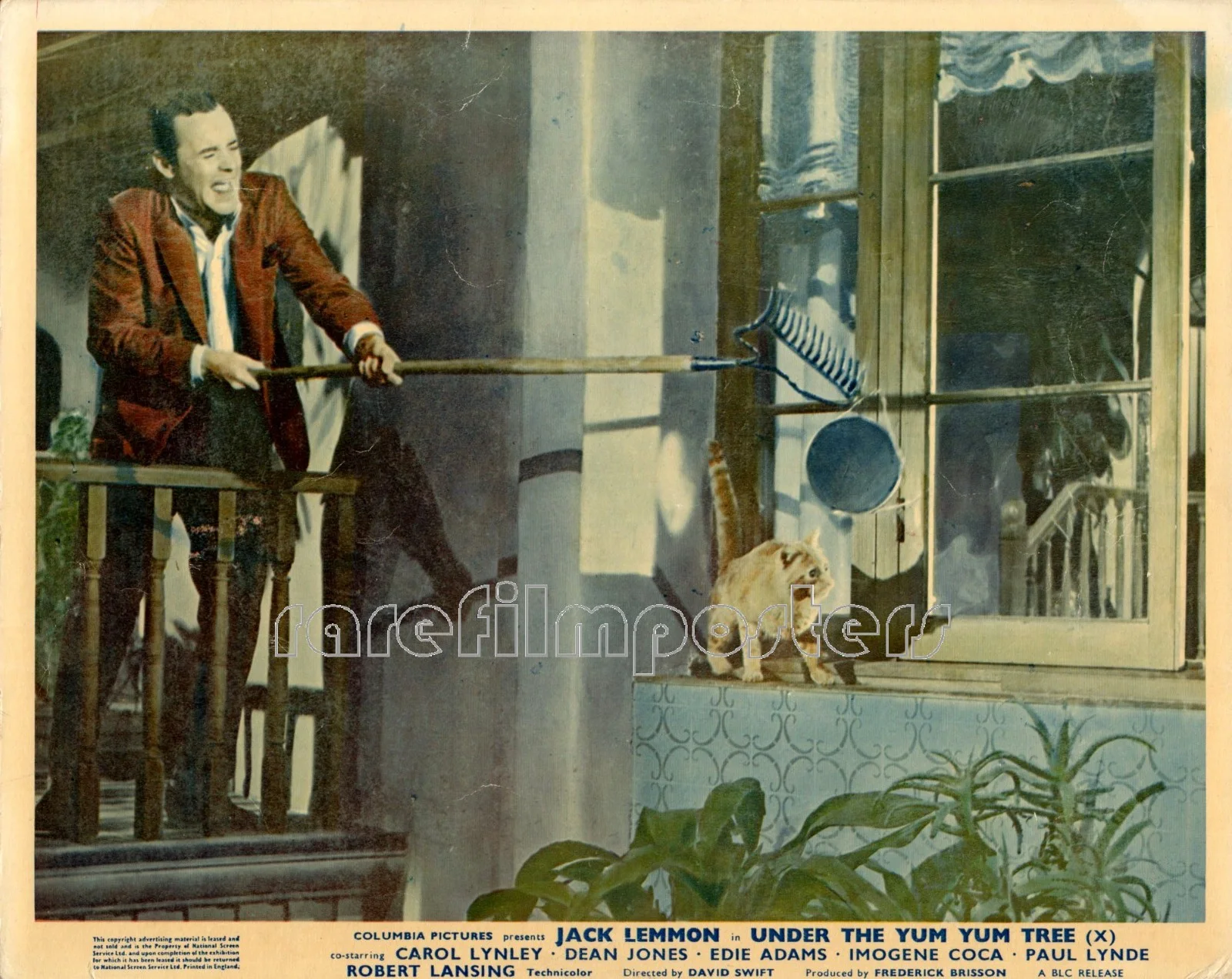 UNDER THE YUM YUM TREE 1963 Jack Lemmon, Dean Jones 4 UK 10x8 LOBBY CARDS, изображение 2