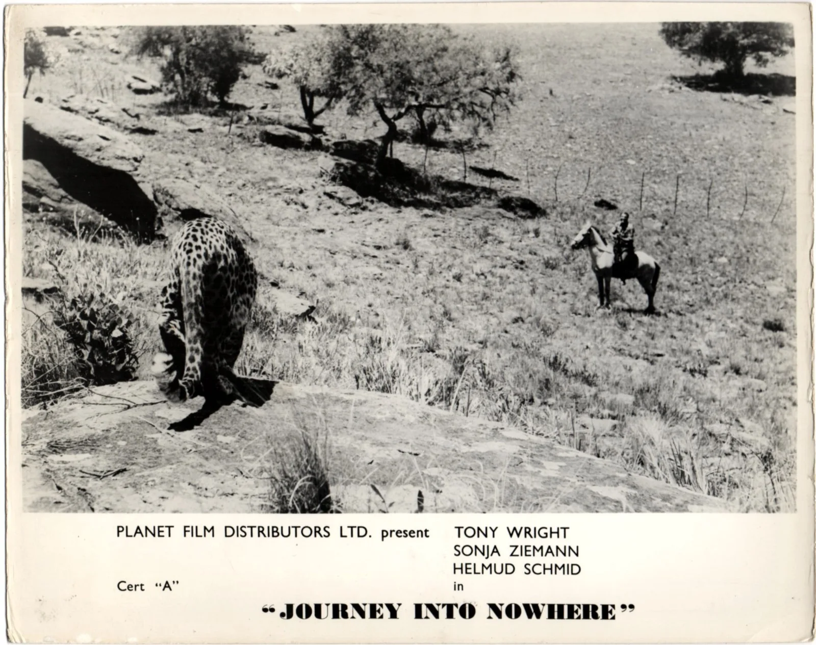 JOURNEY INTO NOWHERE 1962 Tony Wright, Sonja Ziemann 4 UK 10x8 LOBBY CARDS, изображение 3