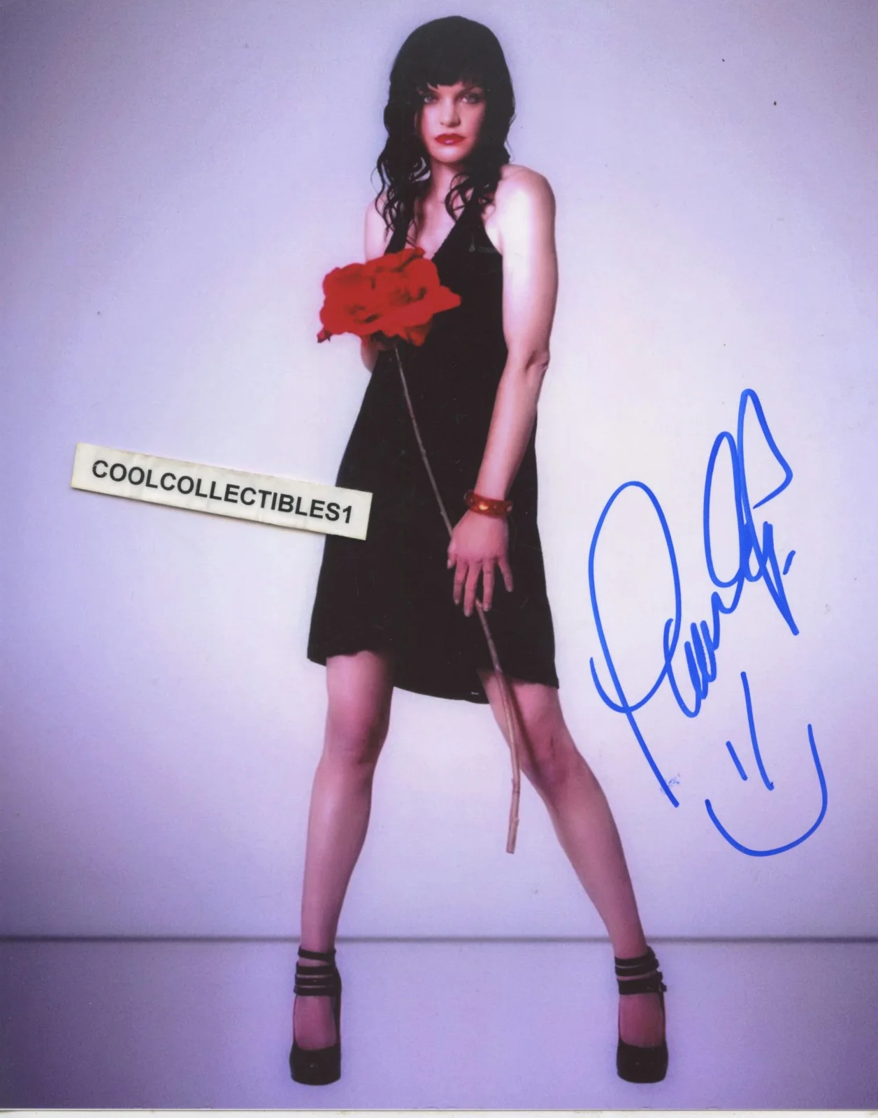 Pauley Perrette — PAULEY PERRETTE of NCIS IN PERSON SIGNED 8X10 COLOR PHOTO 2 COA