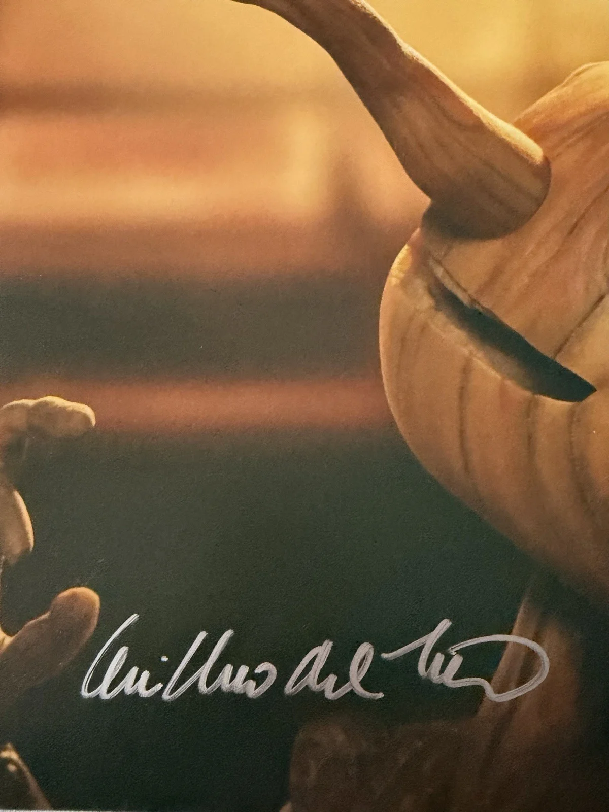 GUILLERMO DEL TORO — GUILLERMO DEL TORO SIGNED PINOCHO (SPANISH) 12x18 PHOTO BECKETT BV18159, изображение 2