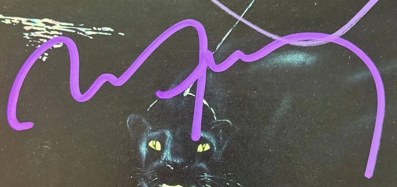 EPPERSON signed ROXY MUSIC autographed x 5 "FOR YOUR PLEASURE" 1973 album, изображение 3