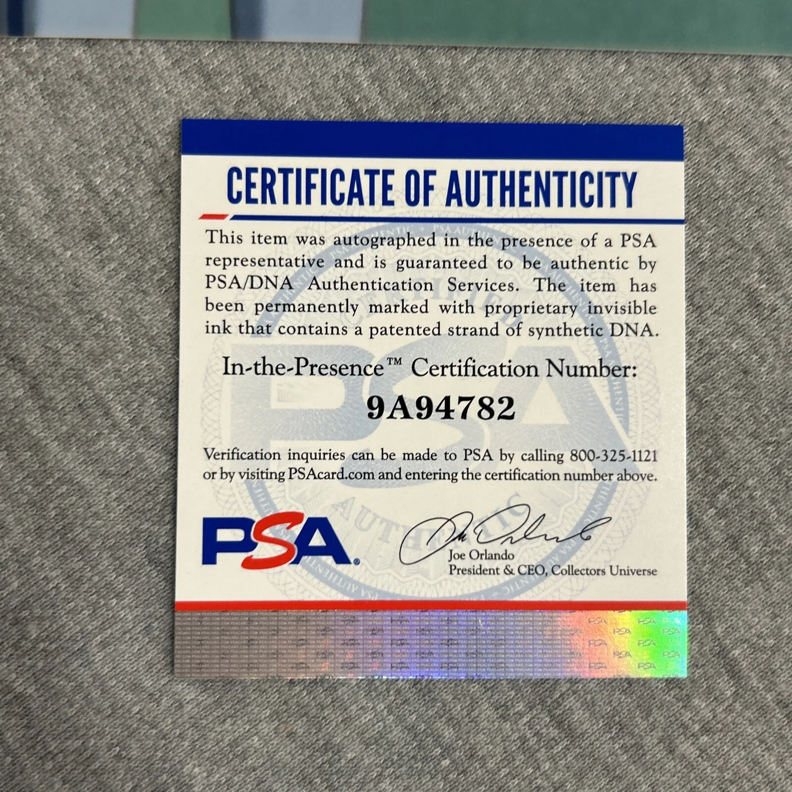 Eric Bauza — Eric Bauza signed autograph 11x14 Space Jam A New Legacy as Daffy Duck Photo PSA, изображение 5