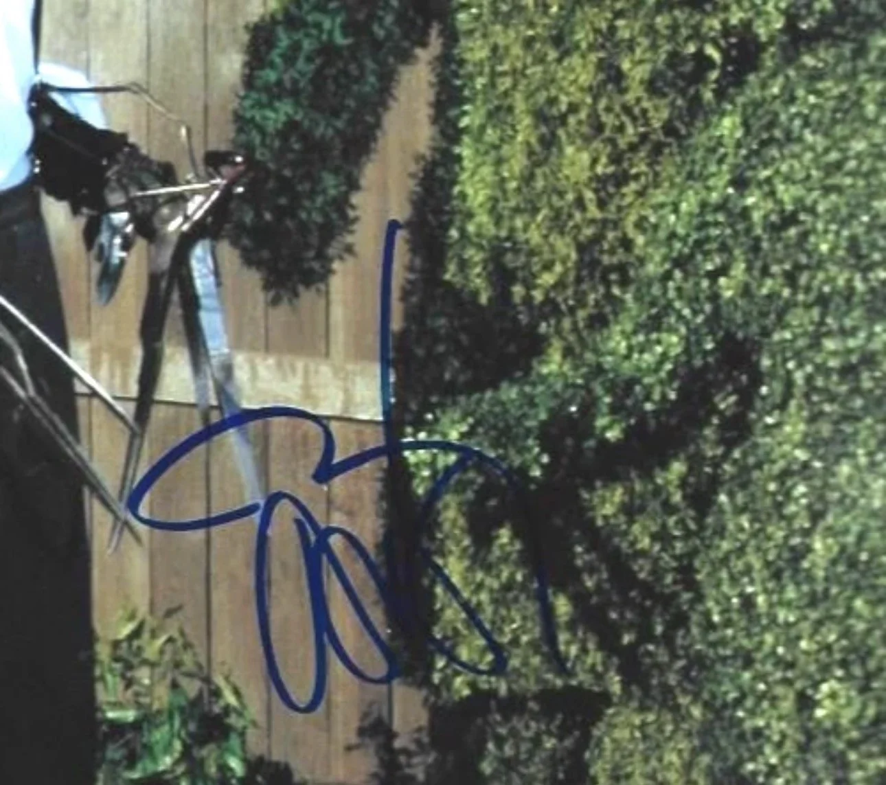 Hand signed 8 x 10 photo Johnny Depp "Edward Scissorhands", изображение 2