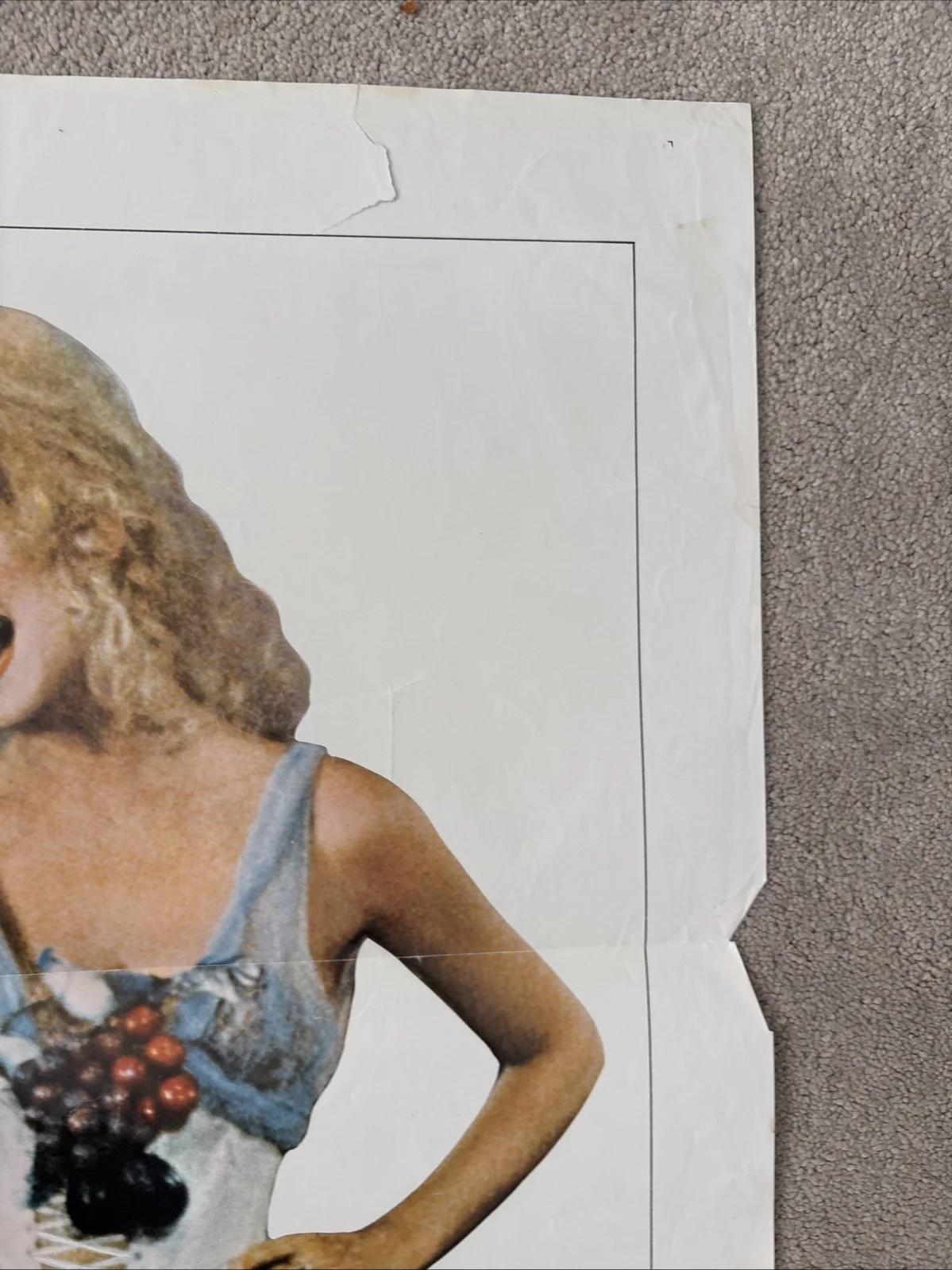 The Duchess And the Dirtwater Fox (1976) Original US One Sheet Movie Poster, изображение 4