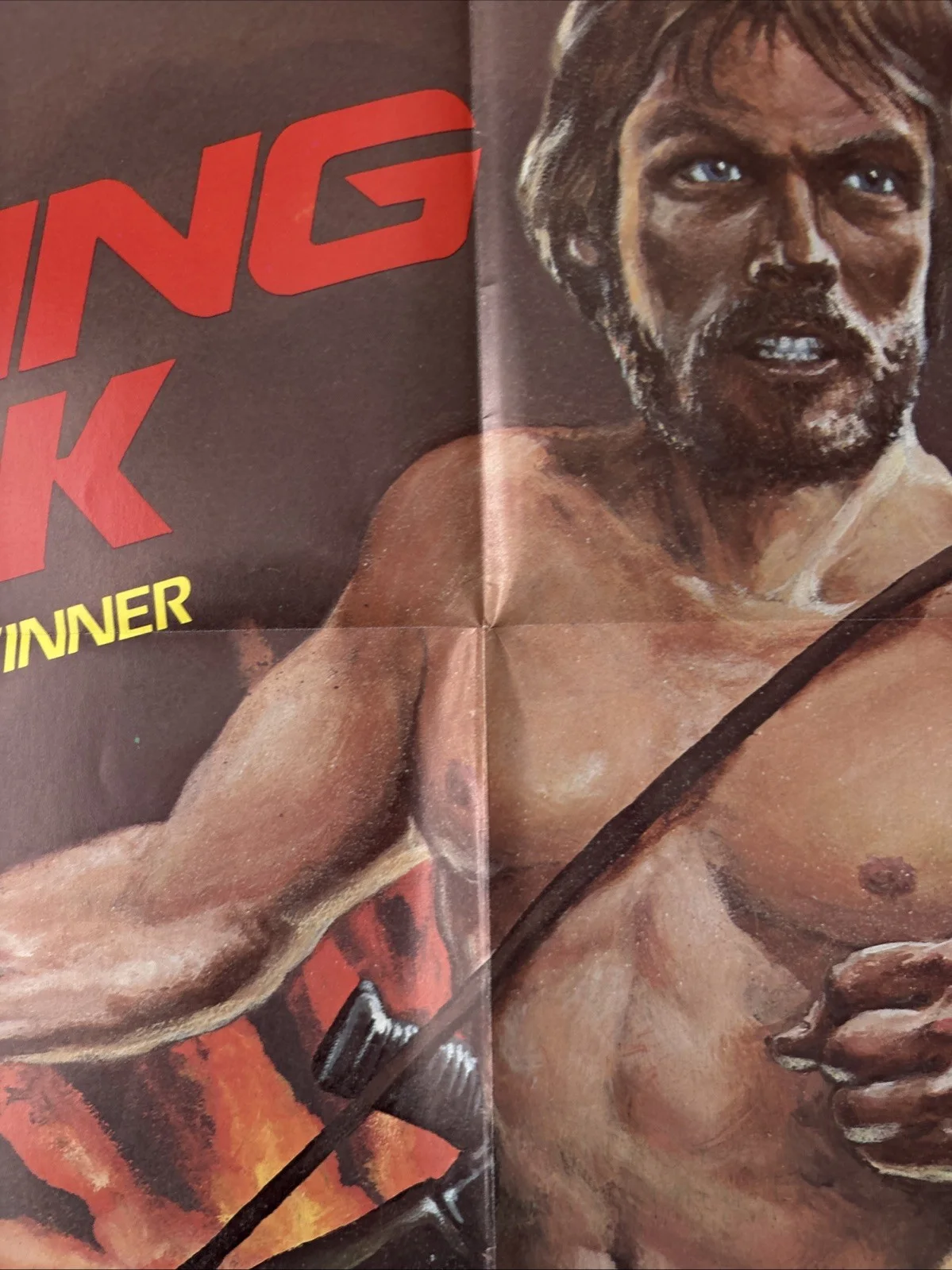 Striking Back (1981) Original US One Sheet Movie Poster, image 5