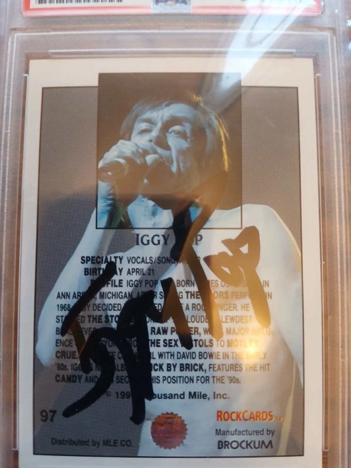 Iggy Pop Sign Autographed PSA, image 2