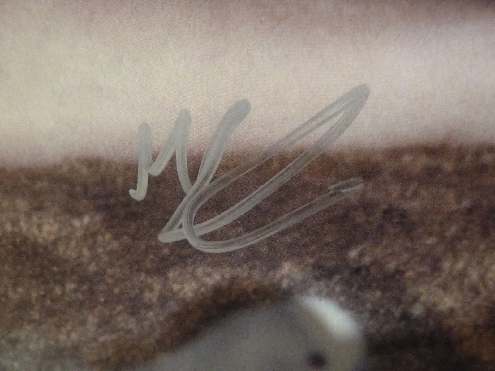 Big Thief Masterpiece LP vinyl record SIGNED AUTOGRAPHED Adrianne Lenker, image 3
