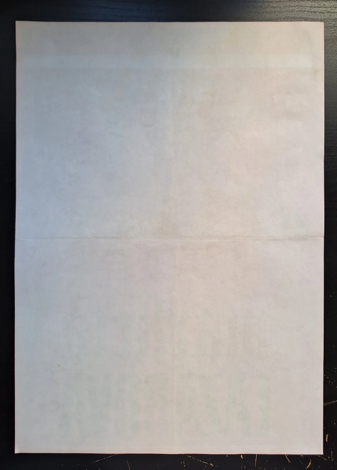 MARKETA LAZAROVA, ORIGINAL A3 CZECH MOVIE POSTER FROM 1984, ZDENEK ZIEGLER, изображение 4