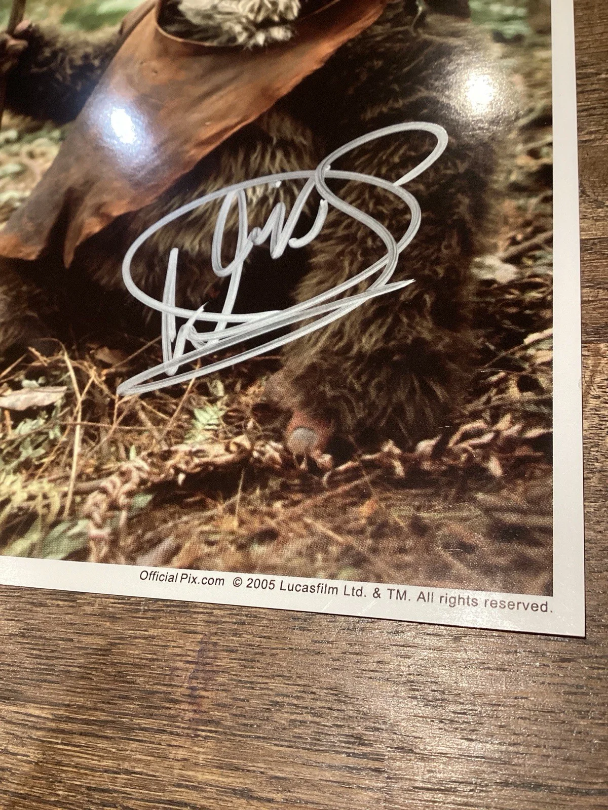 Original WARWICK DAVIS Ewok WICKET Star Wars Hand Signed Autograph coa, image 2