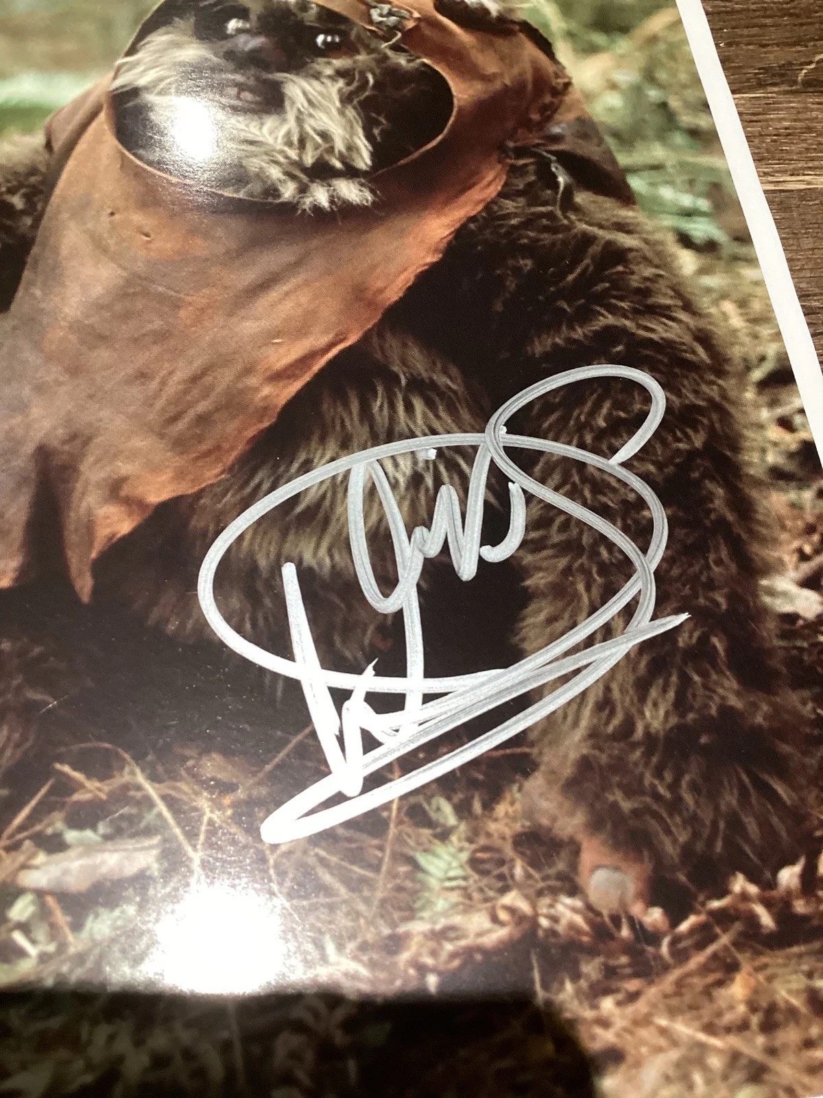 Original WARWICK DAVIS Ewok WICKET Star Wars Hand Signed Autograph coa, image 4