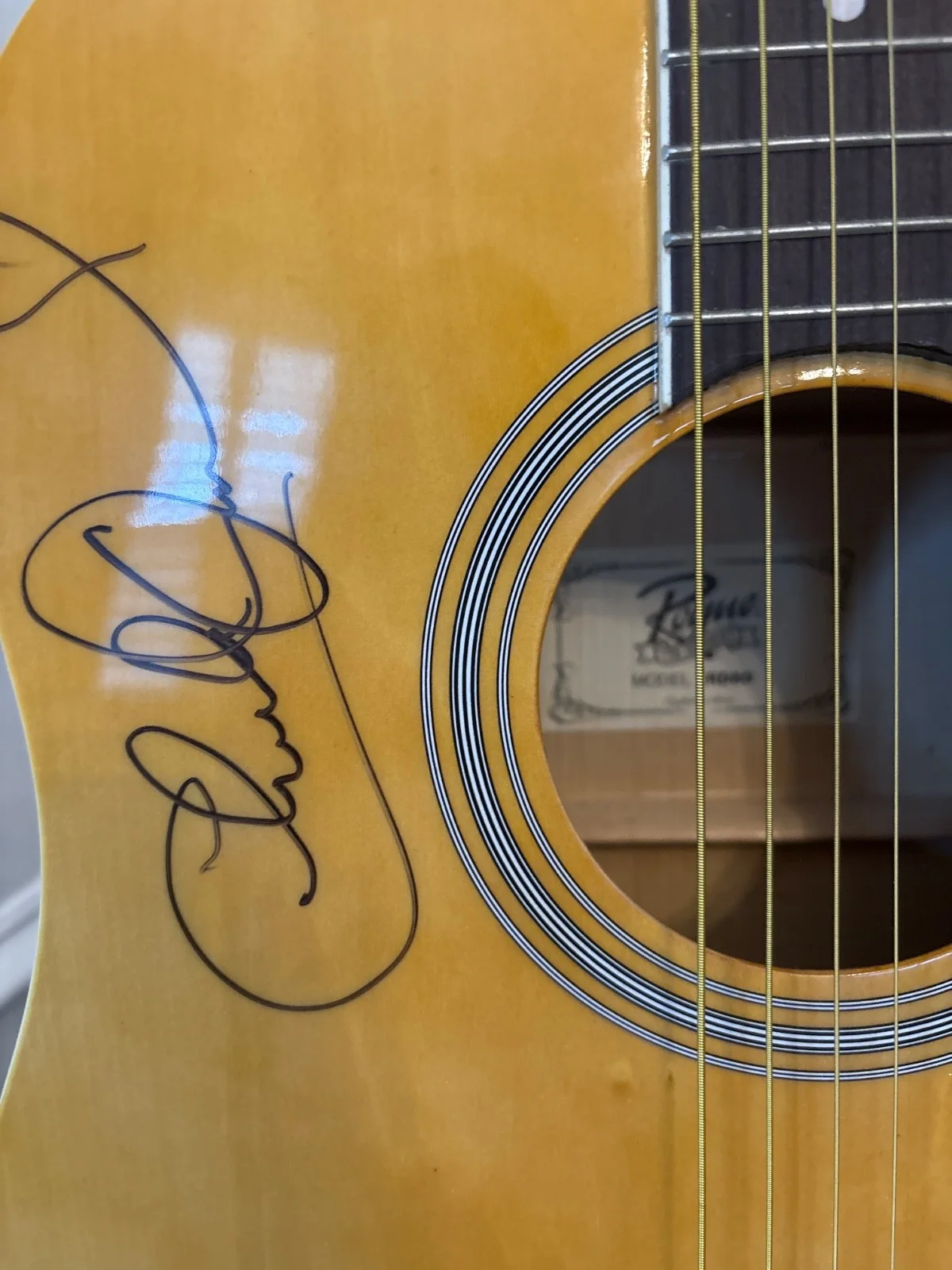 Little Big Town autographed acoustic Rouge guitar, изображение 2