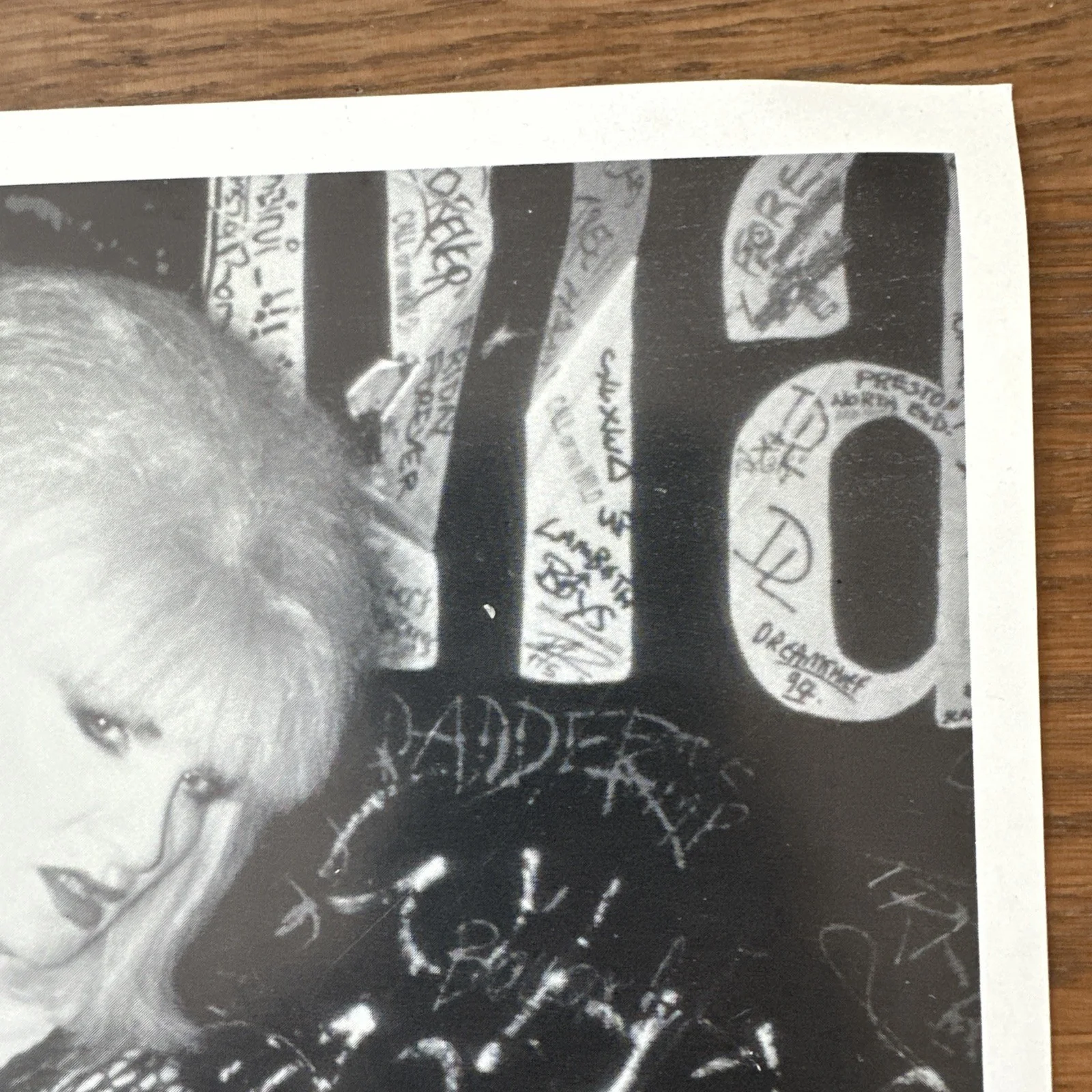 Rare Wayne JAYNE COUNTY Deviation 1995 SIGNED Press Photo 8x10” Royalty Records, image 5