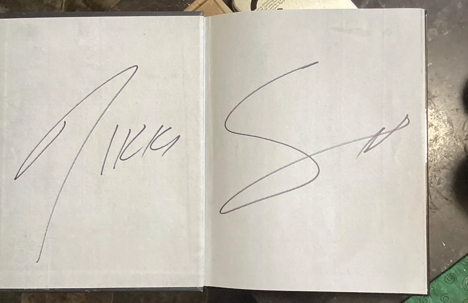 SIGNED Nikki Sixx This is Gonna Hurt First Edition, image 2