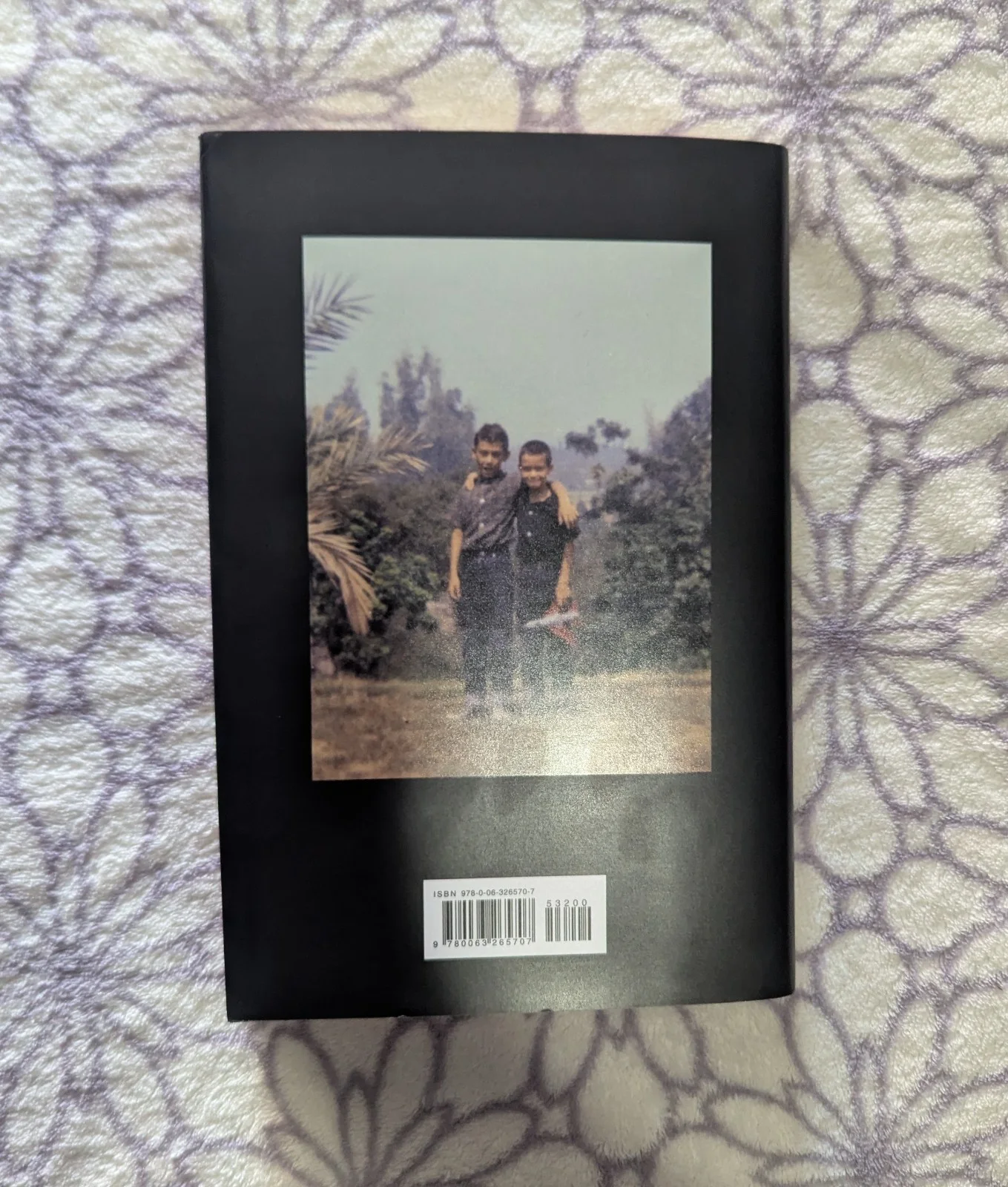 Brothers By Alex Van Halen with Signature, image 3