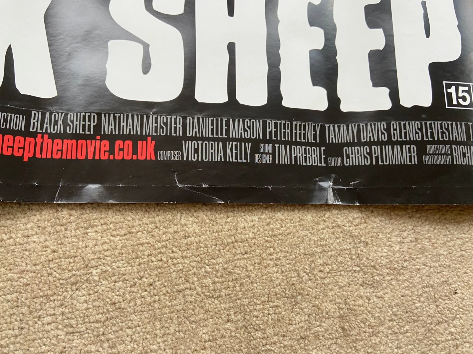 BLACK SHEEP. Hilarious Horror Original UK Quad DS Cinema Poster NEW Rolled 30x40, изображение 2