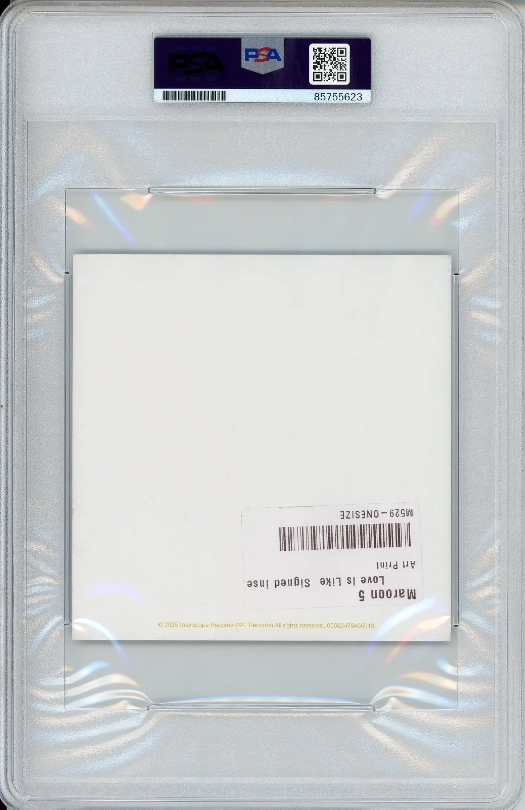 SIGNED ADAM LEVINE Maroon 5 Autograph Album Cover Art Photo Card PSA DNA COA, изображение 2