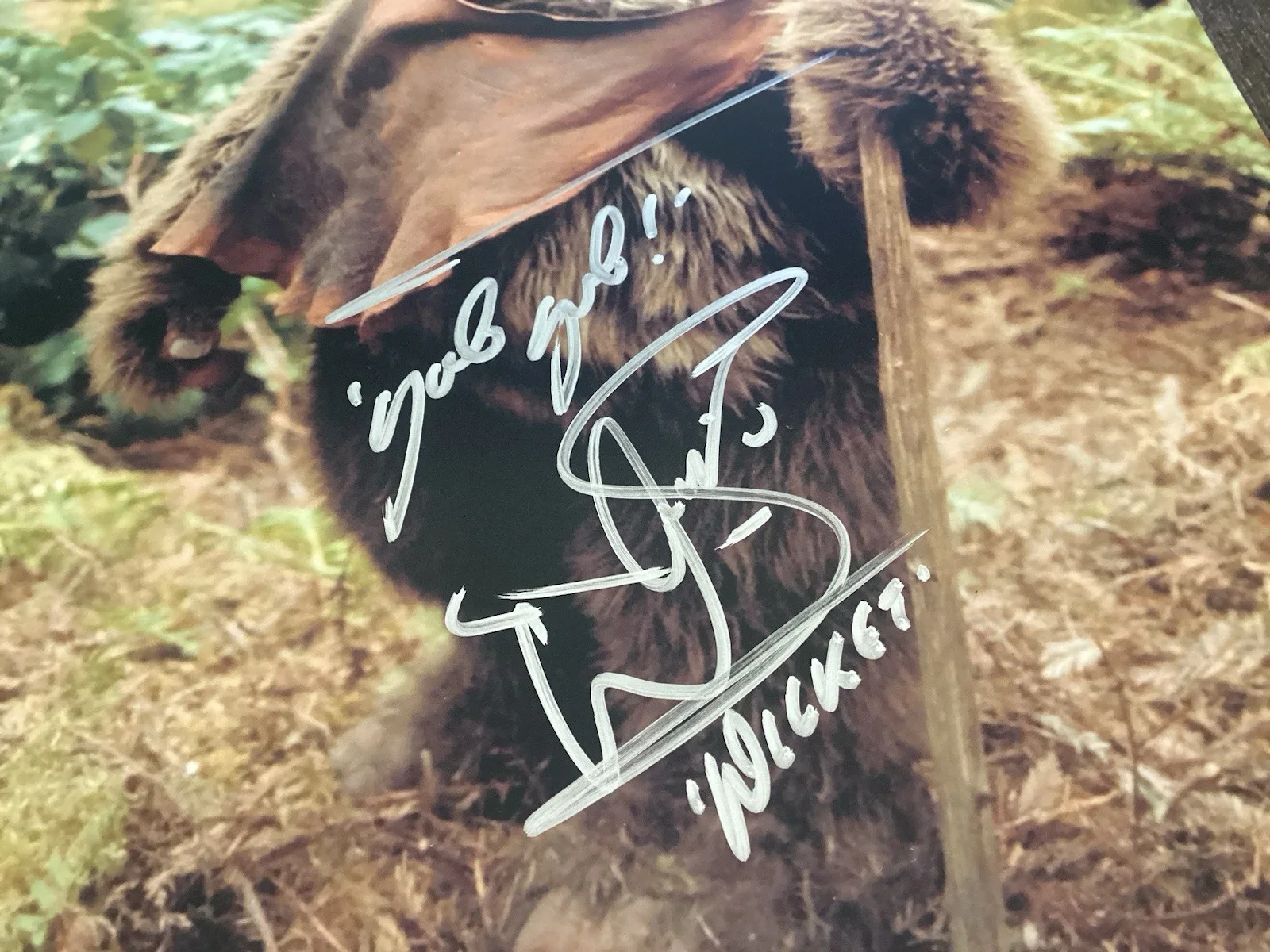 Original WARWICK DAVIS Ewok WICKET Star Wars Hand Signed Autograph coa, image 2