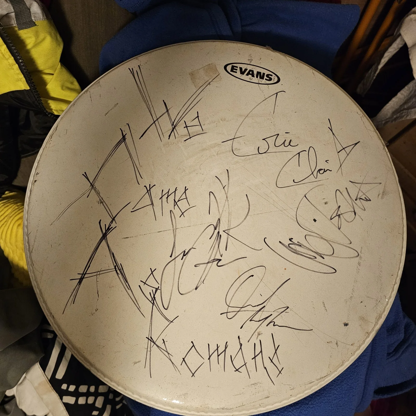 Evans Original Signed Drumhead by We Came As Roman's, image 2